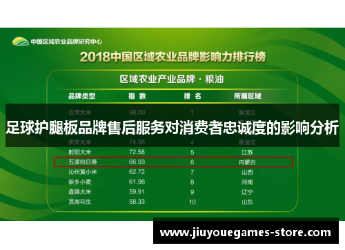 足球护腿板品牌售后服务对消费者忠诚度的影响分析
